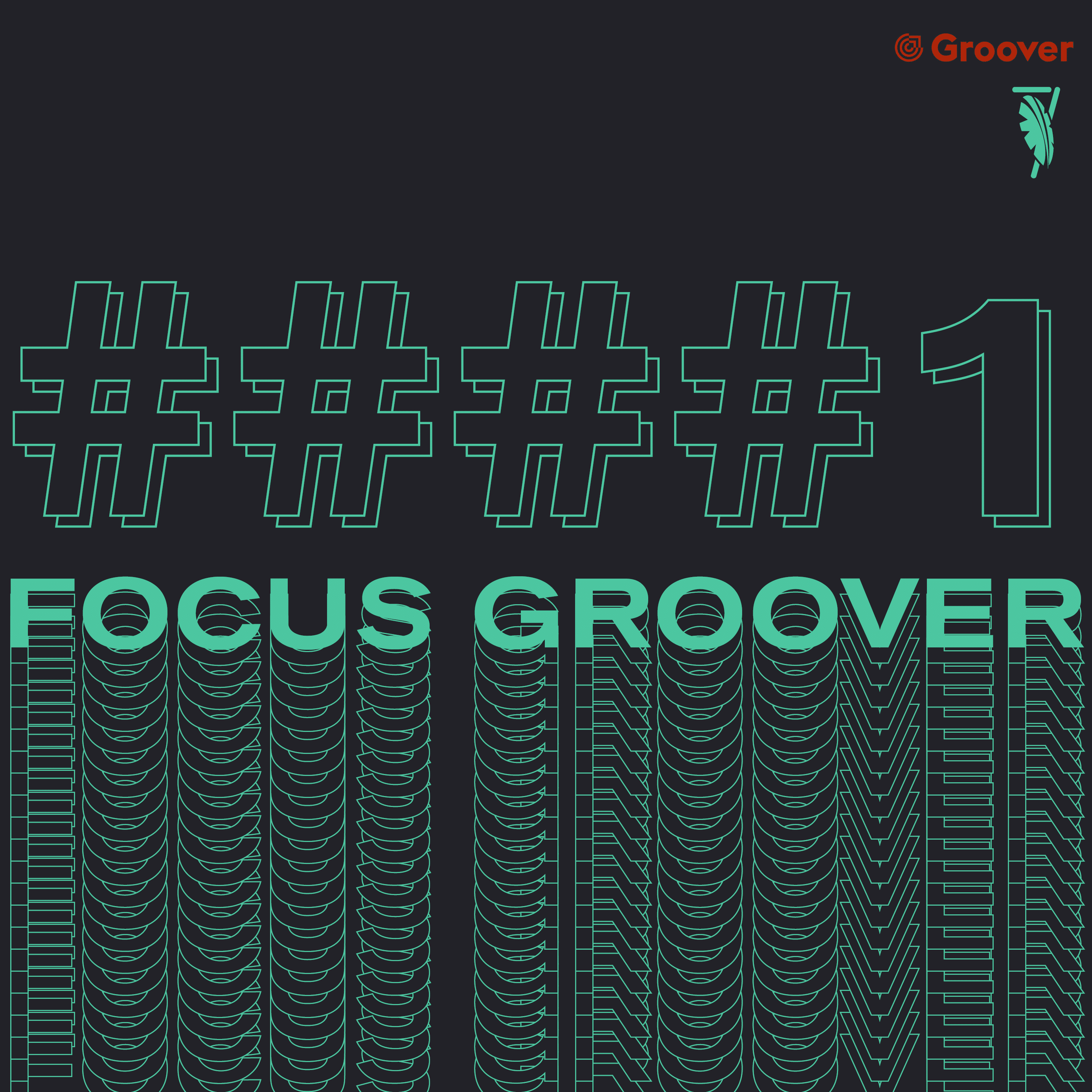 Image de l'article FOCUS GROOVER #1